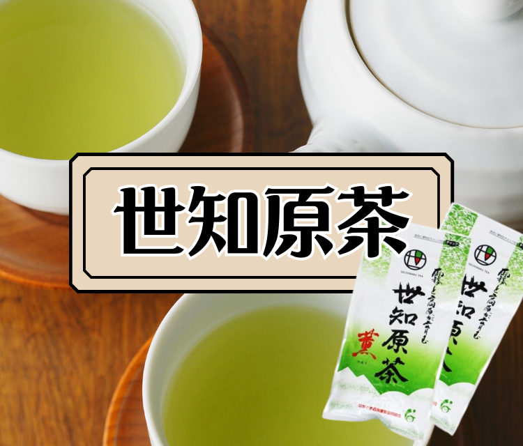 世知原茶(茶葉)