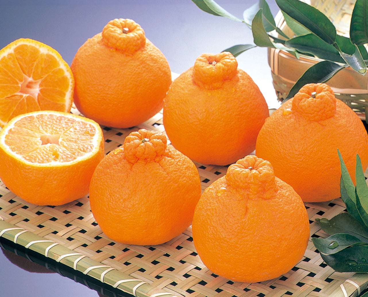 くまもとの果物(冬)