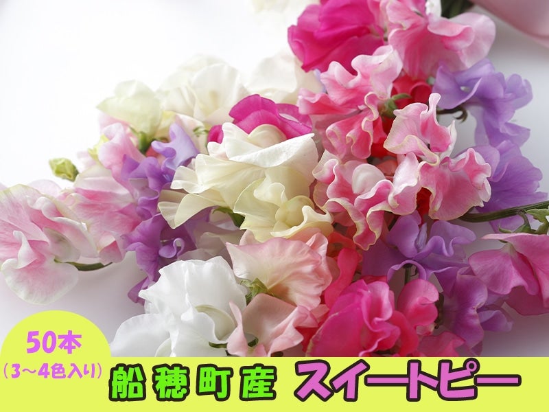 �X�C�[�g�s�[