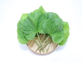 徳島の野菜・加工品