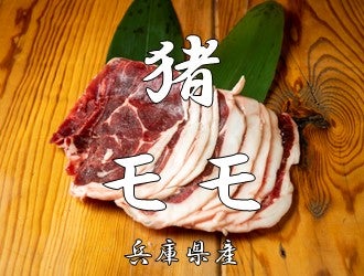 兵庫県産猪肉　猪モモ