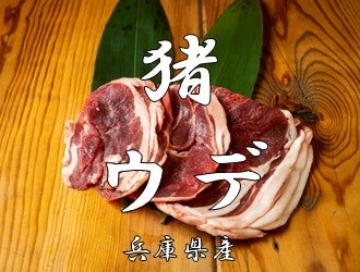 兵庫県産猪肉　猪ウデ