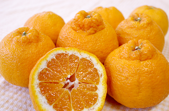 �f�R�|�����s�m��