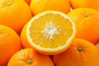 �X���K�G���K���g