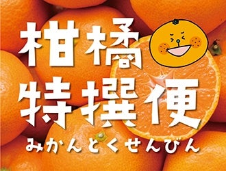 【頒布会】2023柑橘特撰便
