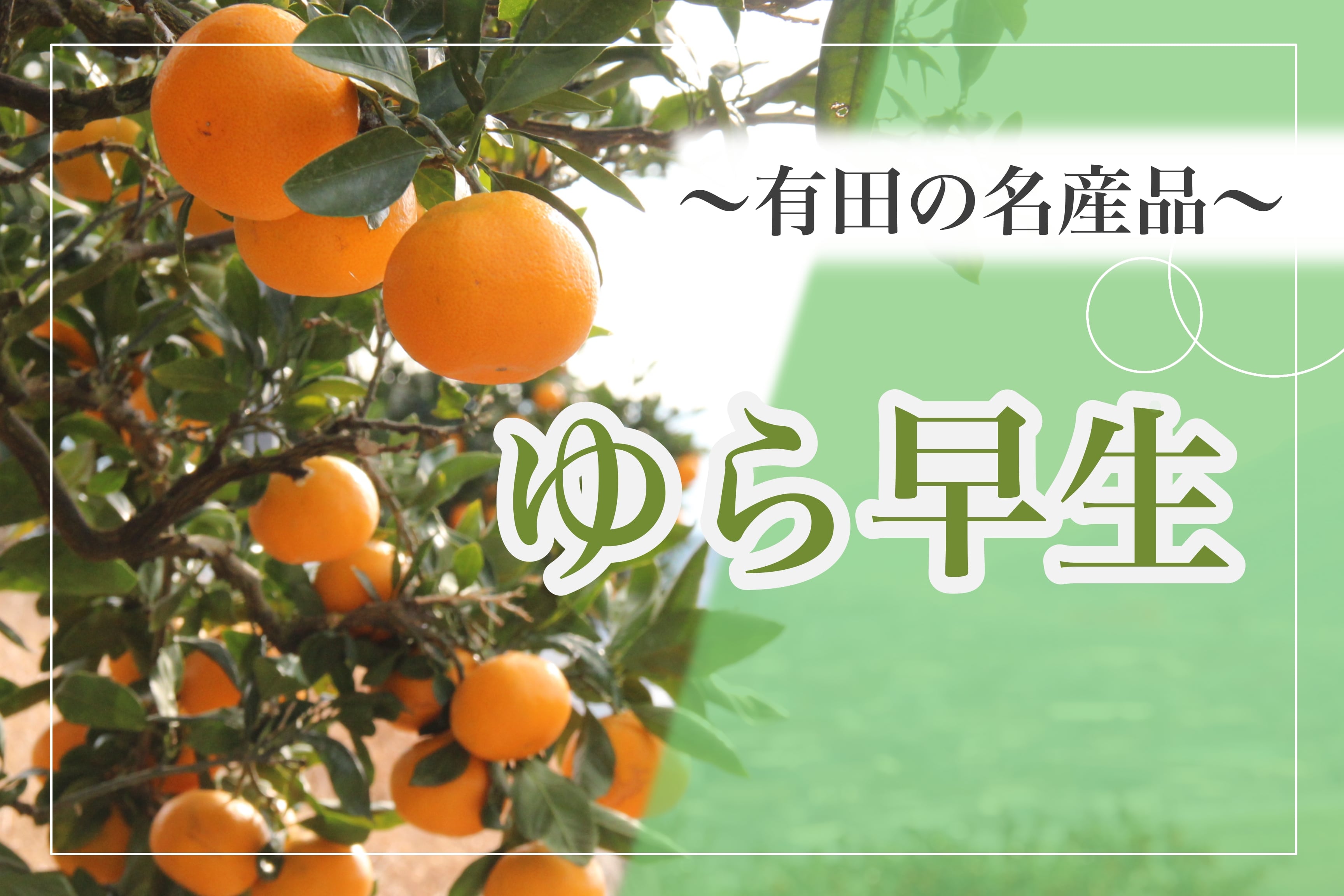 瑁݂