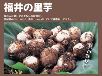 ����̗���