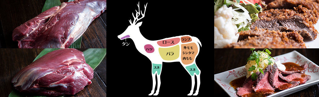 兵庫県産鹿肉　鹿モモ