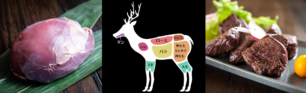 兵庫県産鹿肉　鹿シンタマ