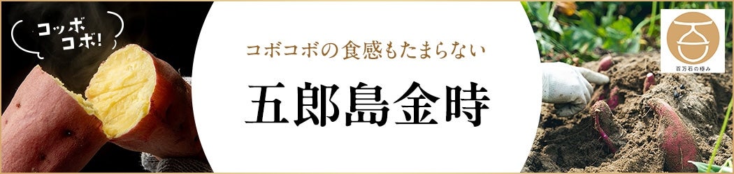 五郎島金時