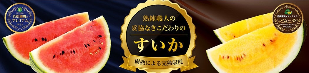 JAkシ