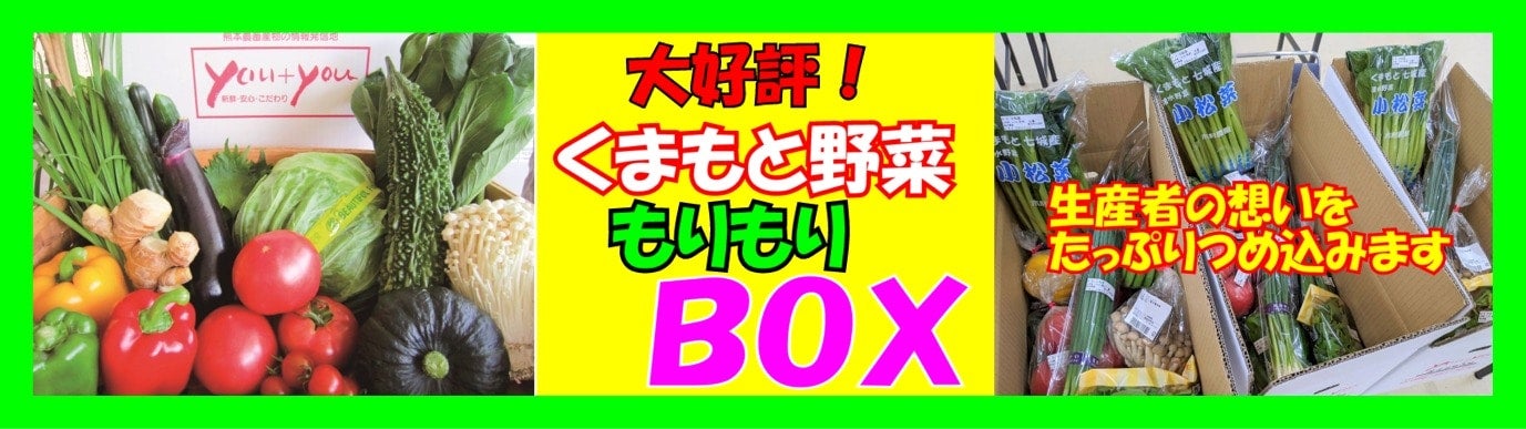 ܂Ɩ؂BOX