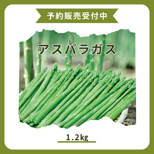 AXpKX