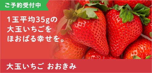 ��ʂ������@��������