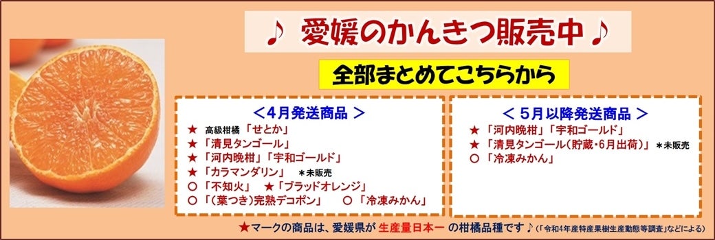 愛媛の柑橘販売中です♪