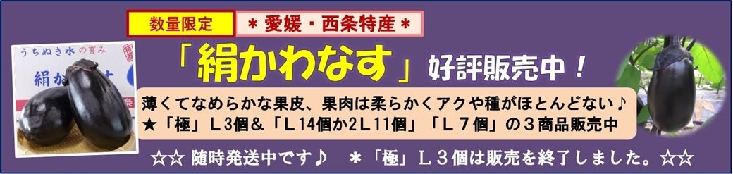 愛媛・西条特産「絹かわなす」販売中！