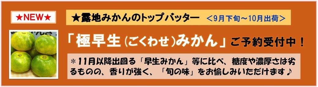 極早生みかん　販売中です！