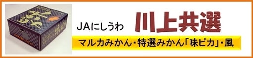JAにしうわ川上共選