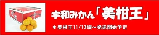宇和みかん販売中です!