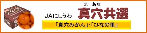 JAにしうわ真穴共選