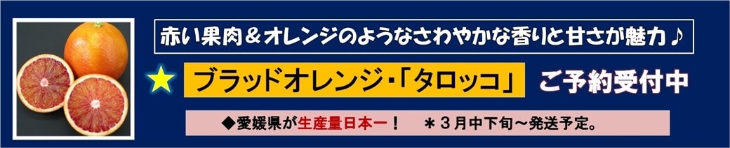 �Ԃ��ʓ�������₩�ȍ���ƊÂ������́I�u���b�h�I�����W�u�^���b�R�v