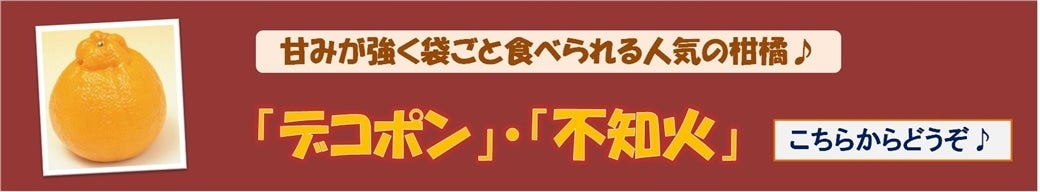 デコポン・不知火販売中です！