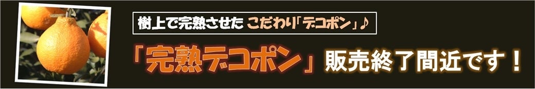 uitjnfR|v̔łI