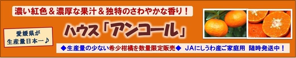 「ハウスアンコール」販売中♪