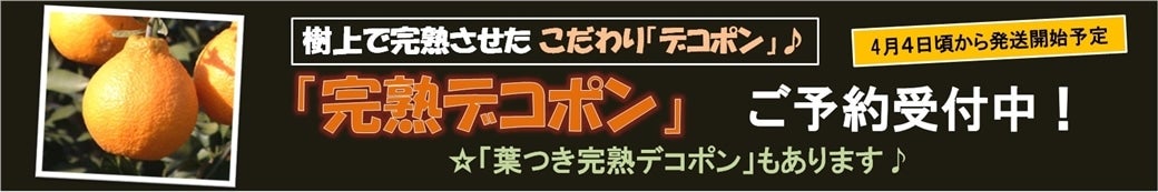 �u���n�f�R�|���v�̔����ł���