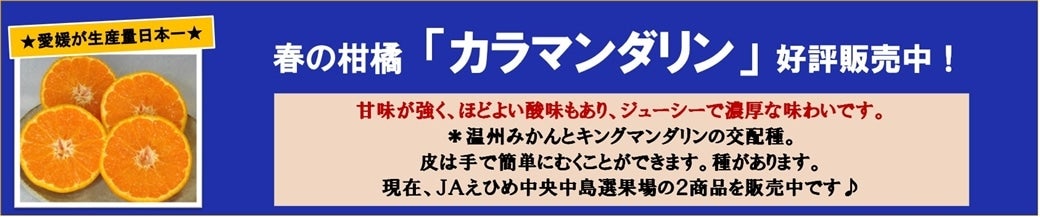 春の柑橘「カラマンダリン」販売中です！