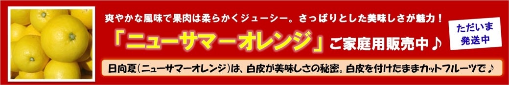 ���Q�́u�j���[�T�}�[�I�����W�v�i�����āE�Ђイ���Ȃj�̔����I