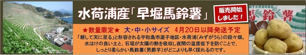 �����ʌ��聚�F�a���s���׉Y�̓��Y�i�u���@�n�鏒�v�̔����I