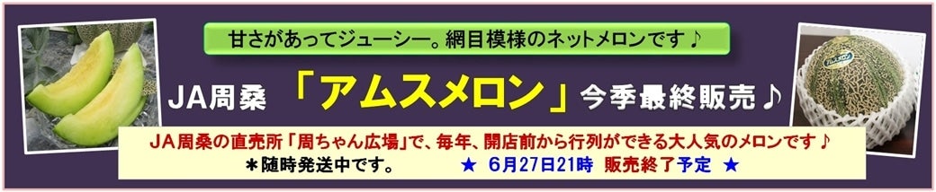 ＪＡ周桑「アムスメロン」好評販売中♪