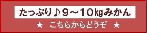 愛媛みかん たっぷり9〜10s箱の商品を集めました♪