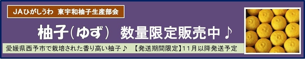 QYuMqi䂸v@ʌ̔I