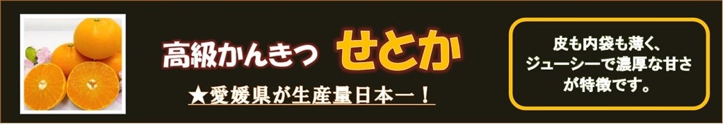 ���Y�ʓ��{��I���Q�́u���Ƃ��v�D�]�̔����ł���