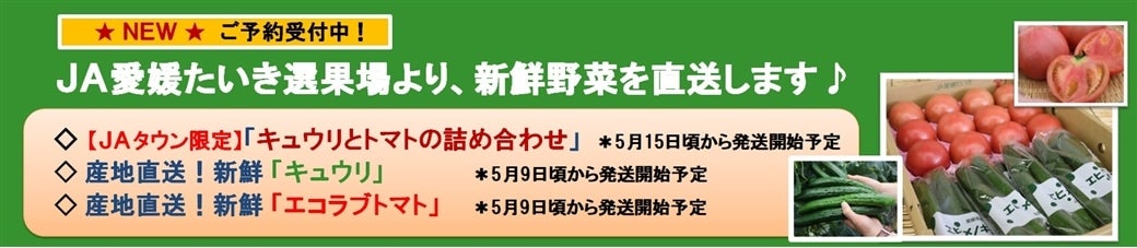 ★産地直送！★ＪＡ愛媛たいき産「キュウリ」「エコラブトマト」販売中！