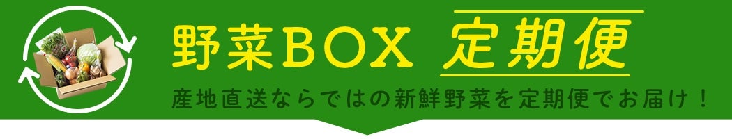 【野菜BOX】定期便※バナー表示用