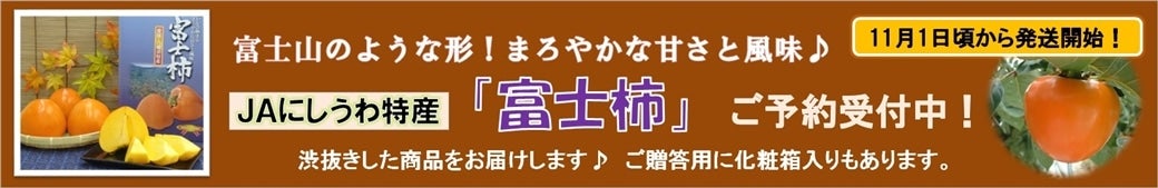 愛媛・八幡浜特産「富士柿」ご予約受付中!
