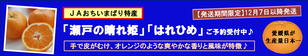 ���Q���Y�u���˂̐���P�v�̔����ł���