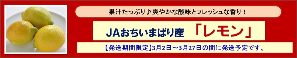 愛媛県産レモン販売中です。