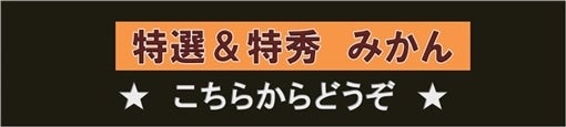 愛媛みかんご贈答用にもおすすめの特選・特秀商品です♪♪
