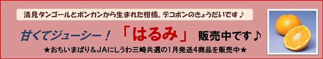 lC㏸u͂݁v̔ł