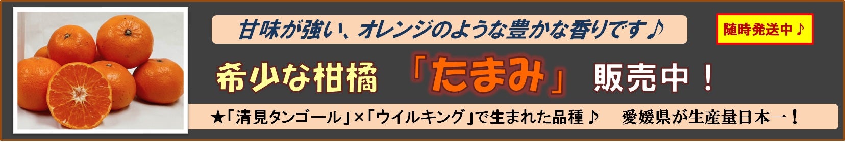 �󏭂Ȋ��k�u���܂݁v�̔����ł��I