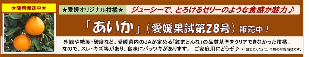 ���Q�̃I���W�i�����k�u�������v�i���Q�ʎ���28���v