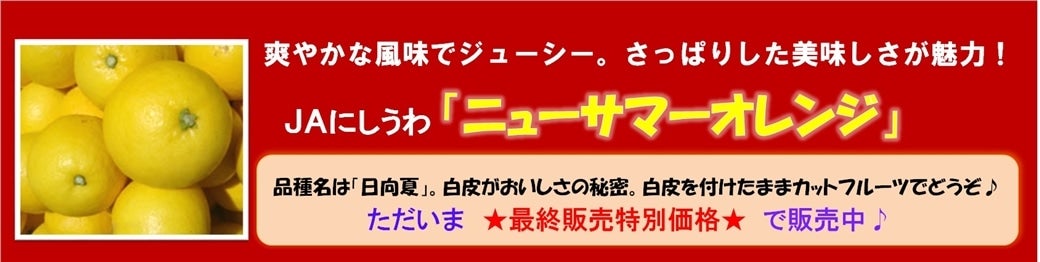 「日向夏（ひゅうがなつ）」（ニューサマーオレンジ」販売中♪
