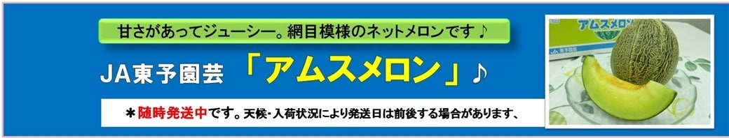 ＪＡ東予園芸「アムスメロン」２商品販売開始♪