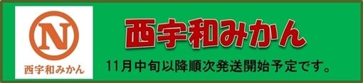 みかんの里・JAにしうわの「西宇和みかん」♪