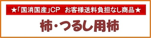 uYvLy[Ώۏi`E邵p`