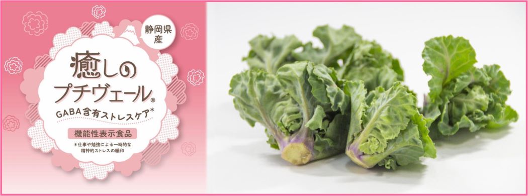 �����̃v�`���F�[���iR�j